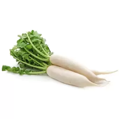 white radish 1pc